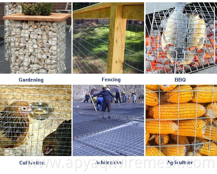 2x2 galvanized welded wire mesh panel for fence panel for bird cage